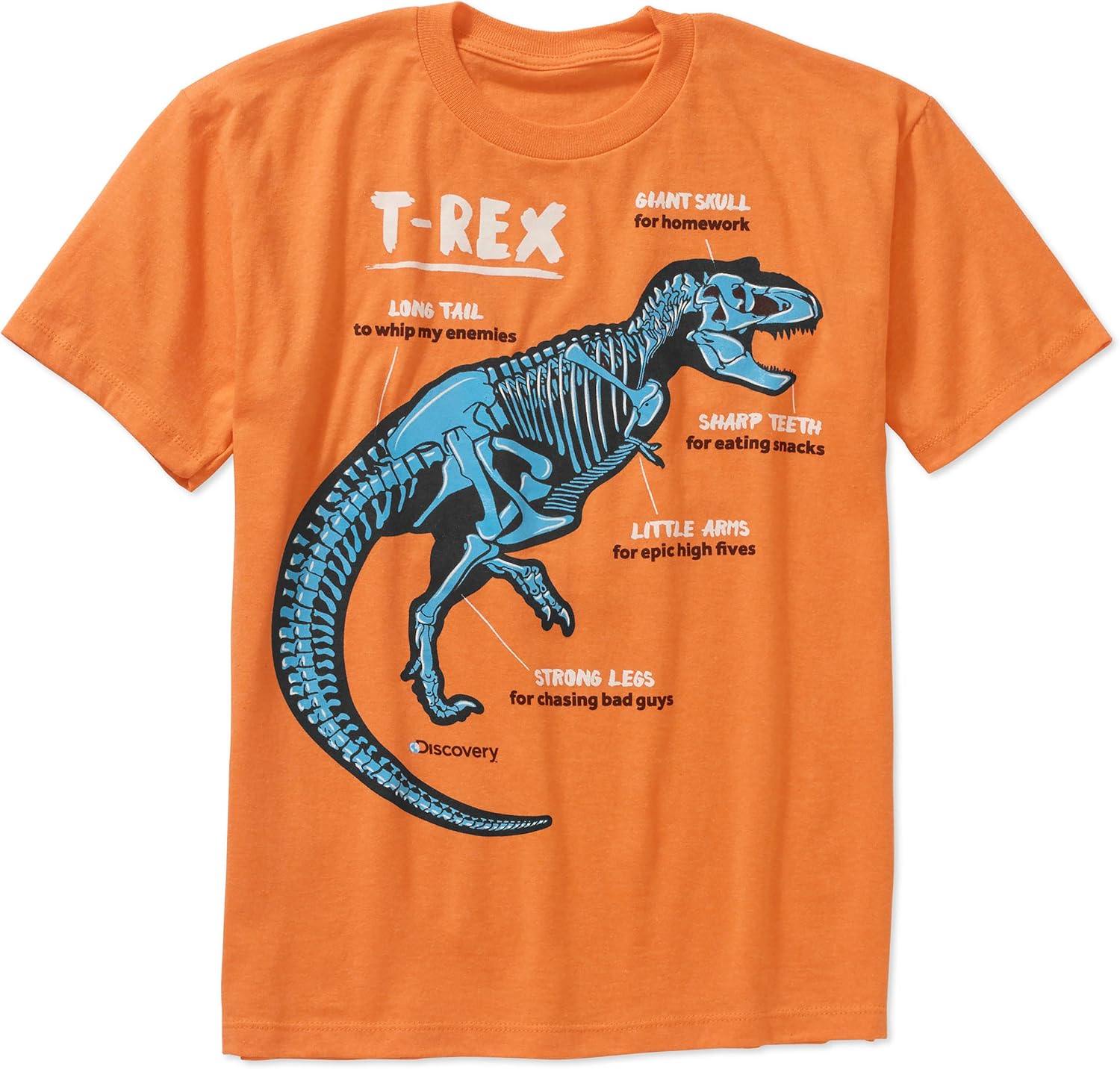Boys TRex Tshirt, Officially Licensed, Humorously