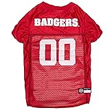 Pets First NCAA College Wisconsin Badgers Mesh