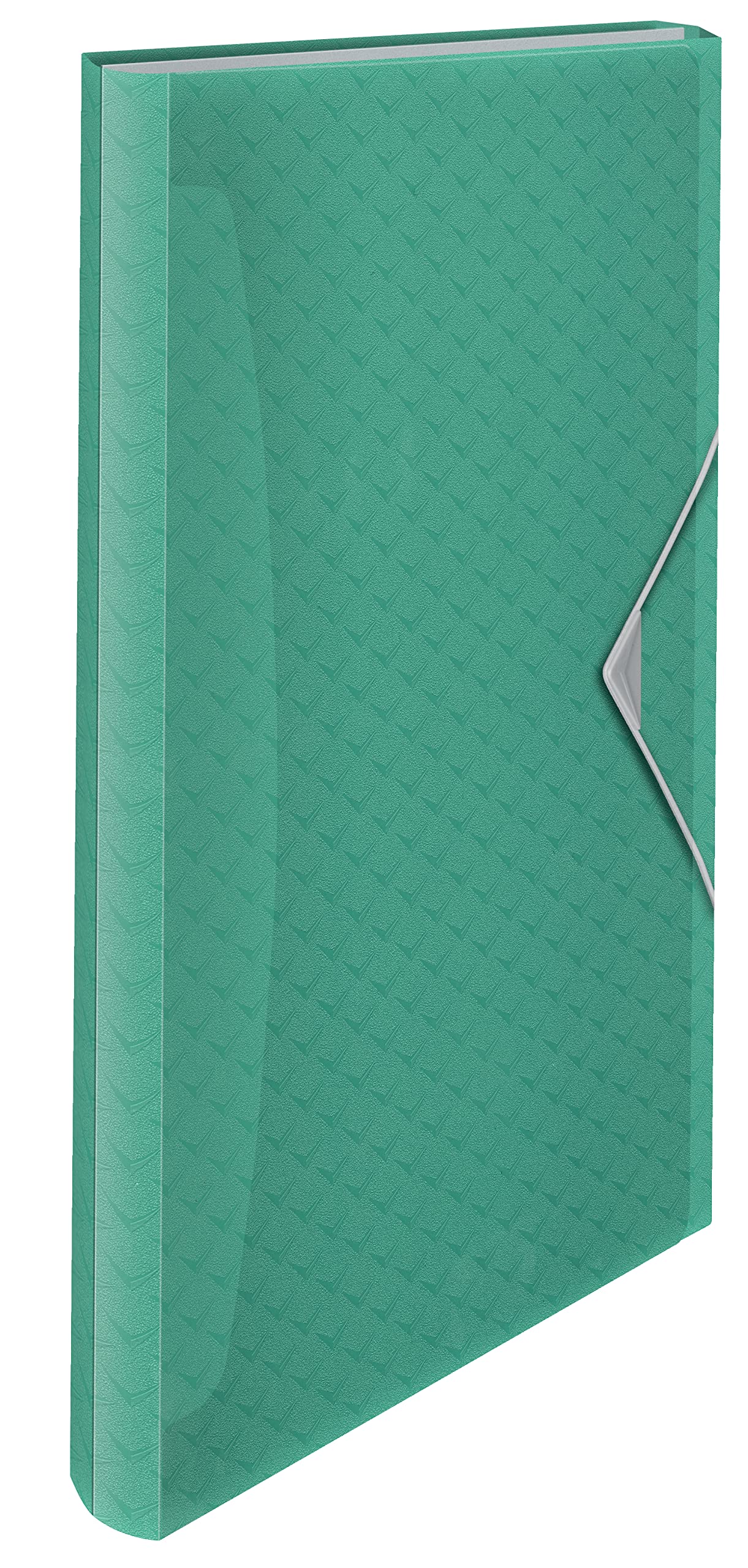 Esselte A4 Expanding Concertina File, Clear Folder Organiser With 5 Tabs/6 Compartments, Home/Office, Embossed Pattern, Colour'Breeze Range, Green, 626253