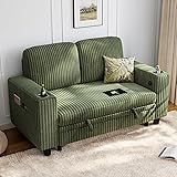 LINSY HOME Loveseat Sofa with Storage - Comfy Plush