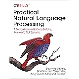 Practical Natural Language Processing: A Comprehensive Guide to Building Real-World NLP Systems