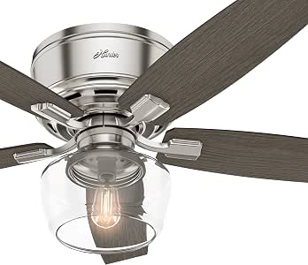 Hunter Fan 52 inch Low Profile Ceiling Fan with LED Globe ...