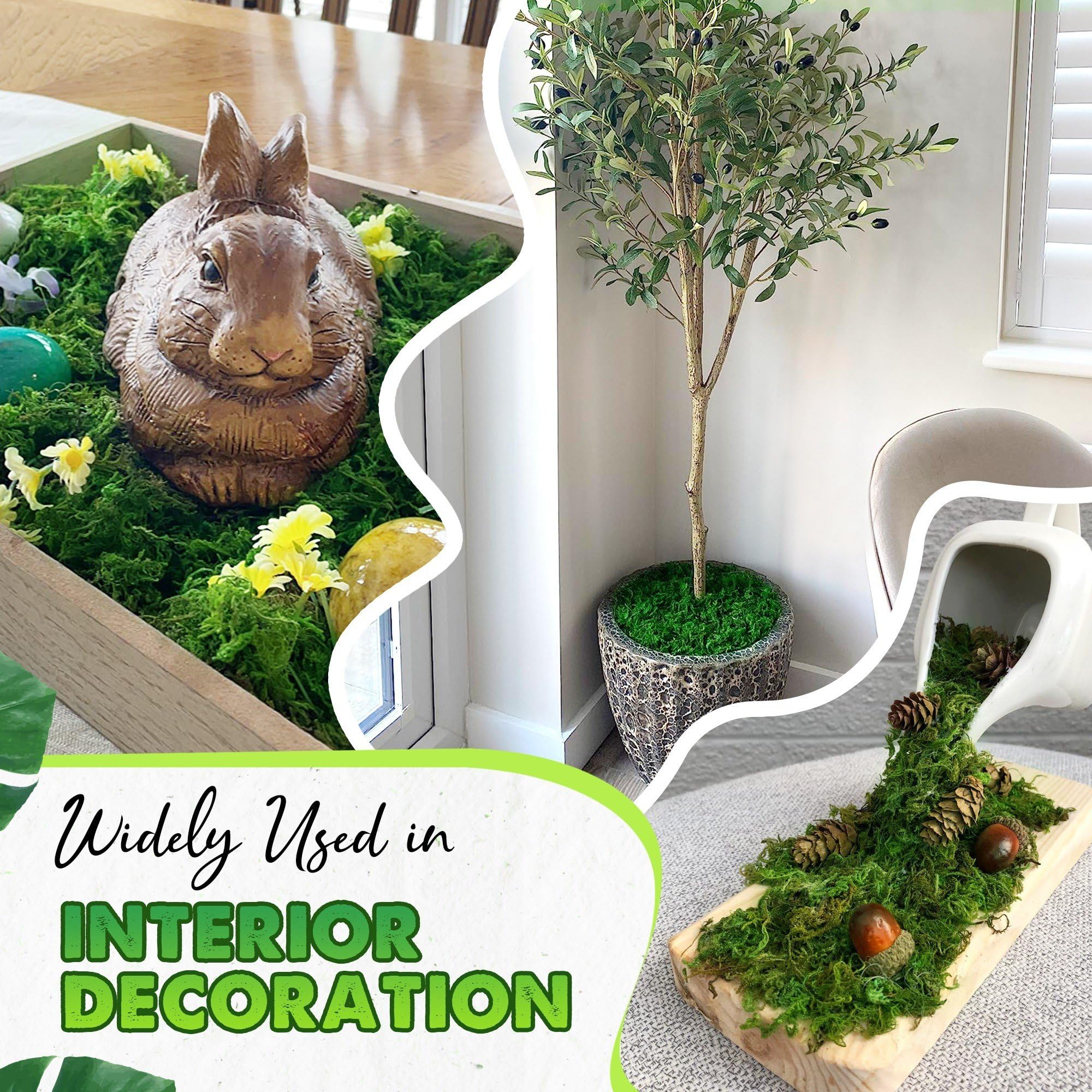 [Upgraded] DUSPRO Green Moss for Crafts, Forest Moss Potted Plants, Decorative Mosses for Table Centerpieces Wedding Christmas Fairy Party Decor, Indoor Planters, DIY Project (5 oz)