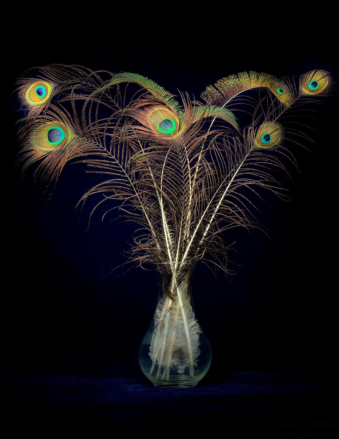 Amazon Com Peacock Feathers In Vase 3014 Canvas Print Handmade
