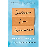 Sadness, Love, Openness: The Buddhist Path of Joy