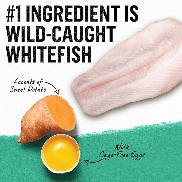 PURINA BEYOND NATURAL GRAIN FREE DRY CAT FOOD WHITEFISH AND EGG RECIPE WITH ADDED VITAMINS, MINERALS AND NUTRIENTS – 3 LB. BAG
