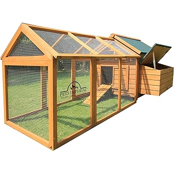Amazon.com : Pets Imperial Single Savoy Large Chicken Coop ...