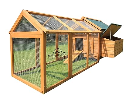Amazoncom Pets Imperial Single Savoy Large Chicken Coop Nest Box