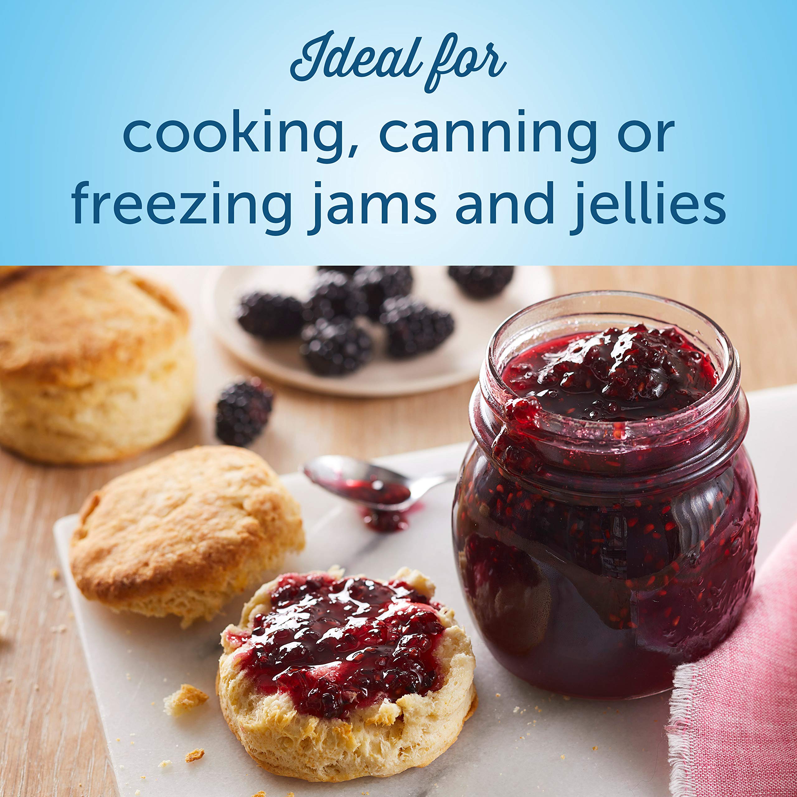 Certo Premium Liquid Fruit Pectin (6 fl oz Boxes, Pack of 4) Buy