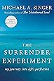 The Surrender Experiment: My Journey into Life's Perfection