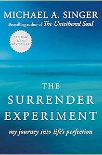 The Untethered Soul The Journey Beyond Yourself Michael A - 
