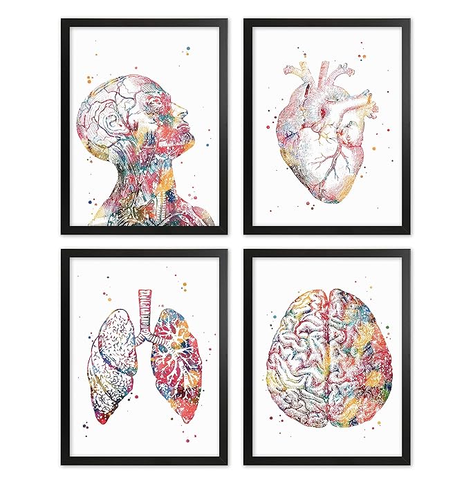 Top 10 Art For Doctor Office