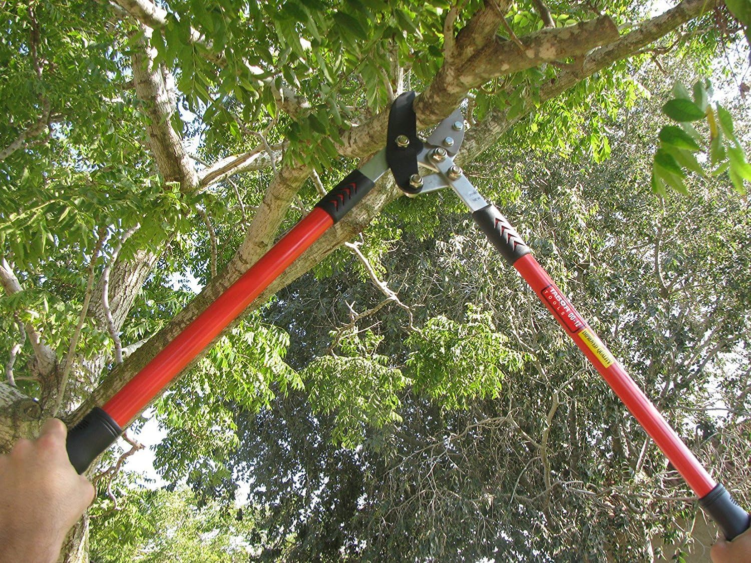 TABOR TOOLS GG12A Anvil Lopper with Compound Action, Chops Thick