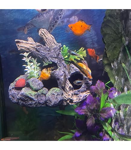 dfo fish accessories OrnaMounts Aquarium Decor Magnetic Driftwood Outcropping Ornament –Wall-Mounted Tank Accessory : Pet Supplies Gear_specs002:2.3 J-Braid – Testing 6lb serrated stainless blades that Color:Pink Tiger