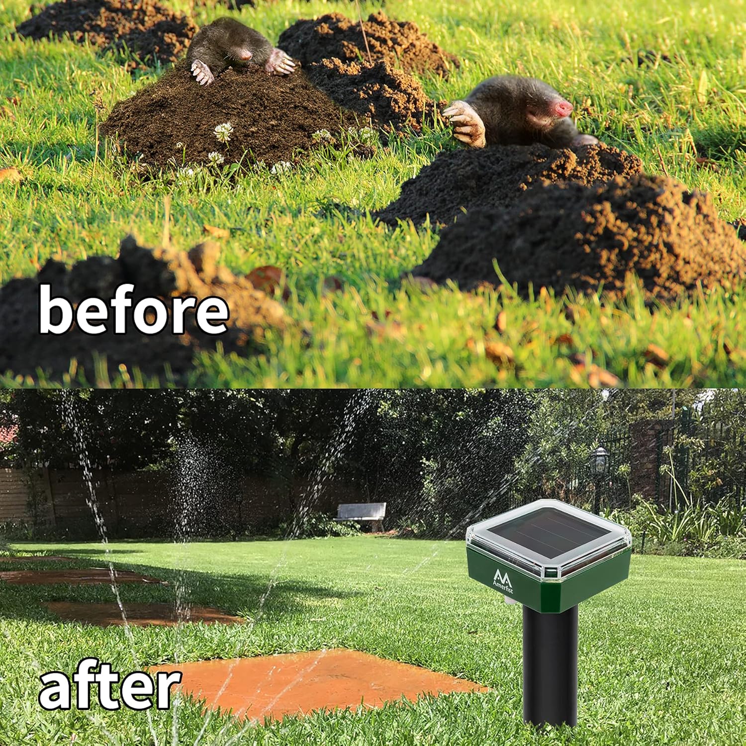 AMERFIST Mole Repellent Solar Powered – Solar Animal Repeller Stakes for Gopher, Moles, Groundhog – IP44 Waterproof Solar Mole Repellent Stakes for Farm, Garden, Lawn (4 Pack) : Garden & Outdoor