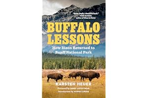 Buffalo Lessons: How Bison Returned to Banff National Park