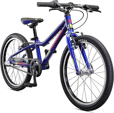 24 inch bike with coaster brakes