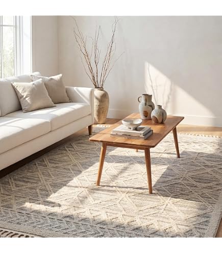Amazon.com: nuLOOM 4x6 Ansley Moroccan Tassel Area Rug, Light Grey