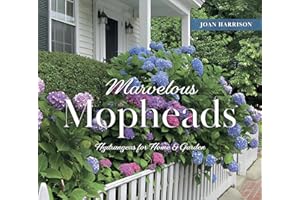Marvelous Mopheads: Hydrangeas for Home & Garden