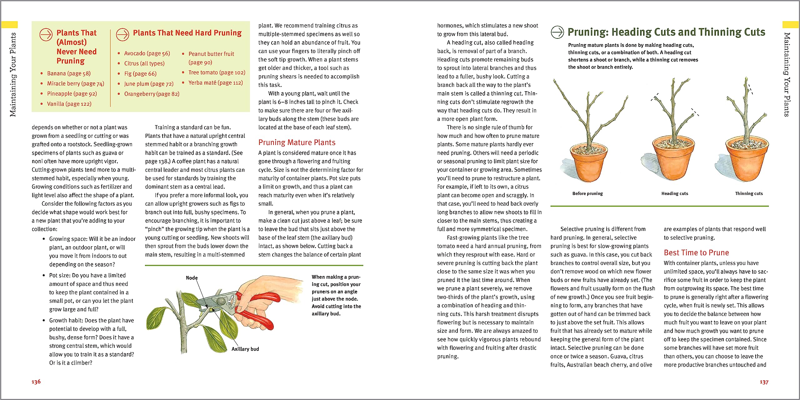Edible Houseplants: Grow Your Own Citrus, Coffee, Vanilla, and 43 Other Tasty Tropical Plants