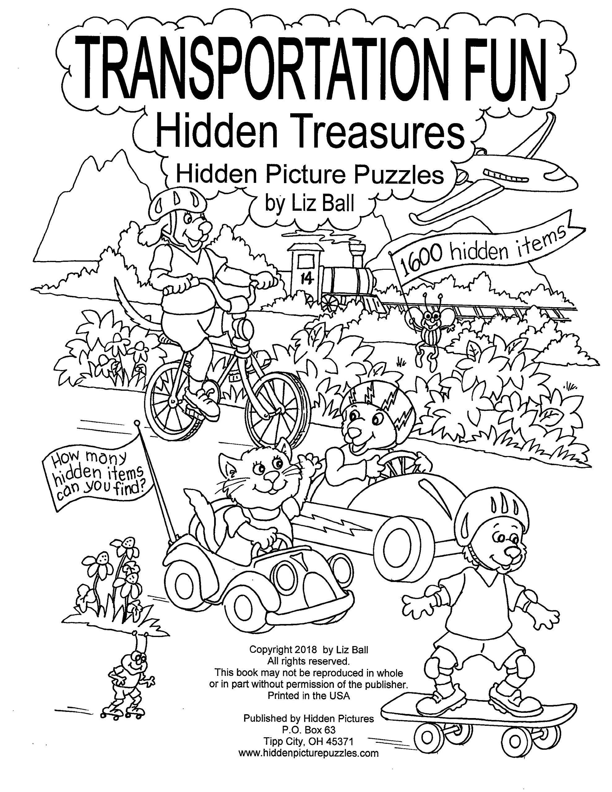 amazon com transportation fun hidden picture puzzles hidden pictures 9780984308842 ball liz books