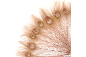 Zucker –Peacock Feathers – Feathers for Crafts