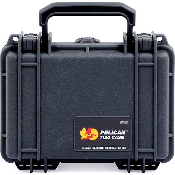 Amazon.com : Pelican Protector 1120 Case by ColorCase - Orange
