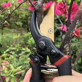 Gonicc 8 Inch Professional Secateurs Premium Titanium Bypass Pruners GPPS-1003 view 5