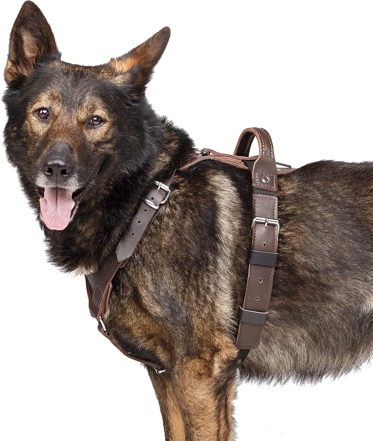 k9 harness with cobra buckle