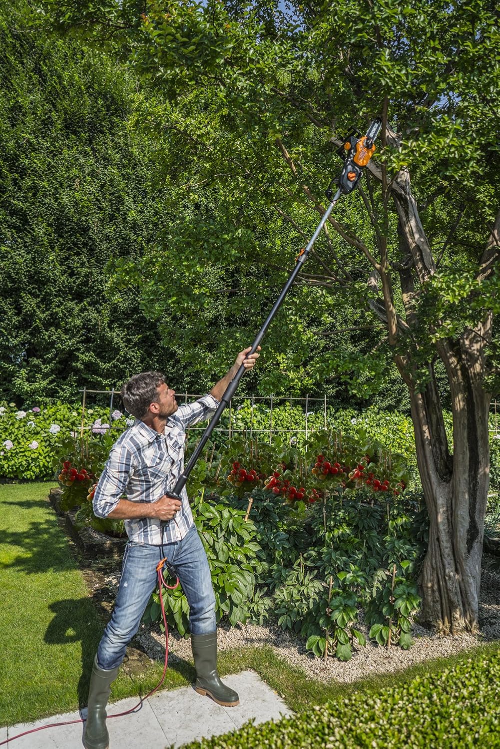 https://images-na.ssl-images-amazon.com/images/I/91pPlKHRgZL._SL1500_.jpg