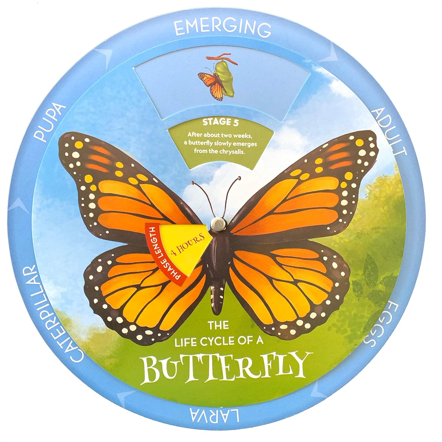 Amazon Com Teaching Tree Educational Spinner The Life Cycle Of A Butterfly Office Products