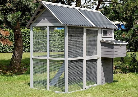poulailler 6 a 8 poules medium square