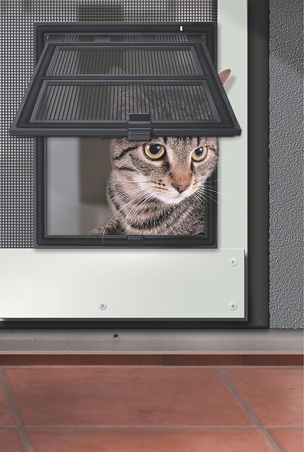 anthracite grey cat flap