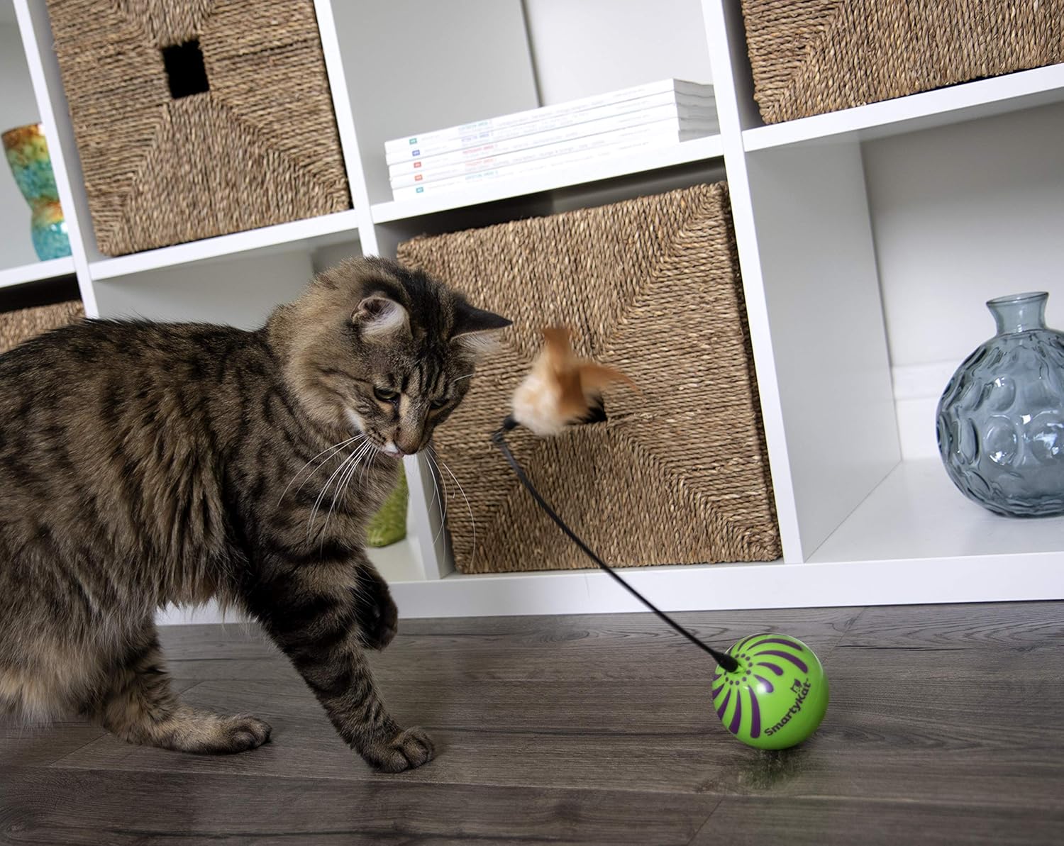 SmartyKat Feather Whirl Electronic Motion Cat Toy, As Seen On TV (9621), green : Pet Supplies