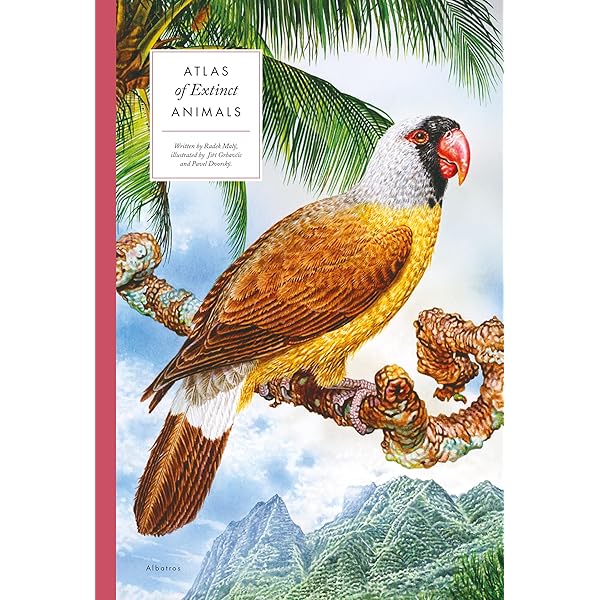 A Gap in Nature: Discovering the World's Extinct Animals: Flannery