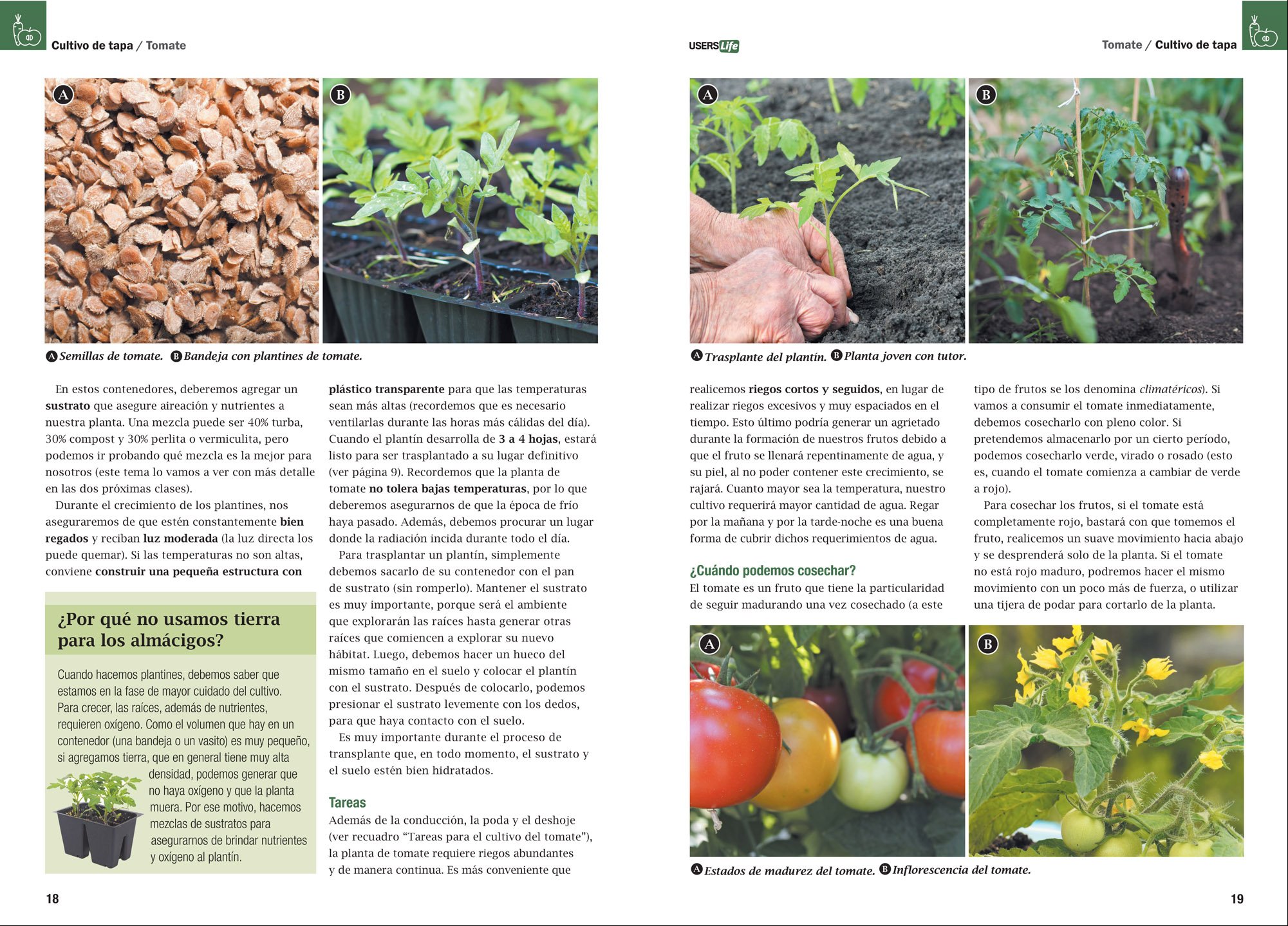 Amazonin Buy Huerta Facil En Casa Spanish Edition 1 -