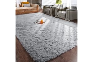 RUGTUDER Light Grey Area Rug for Bedroom, 4x6 Fluffy Rugs for Living Room, Anti-Slip Soft Shag Rug for Bedside Girls Boys Room, Fuzzy Carpet for Baby Kids Room Dorm Nursery Room