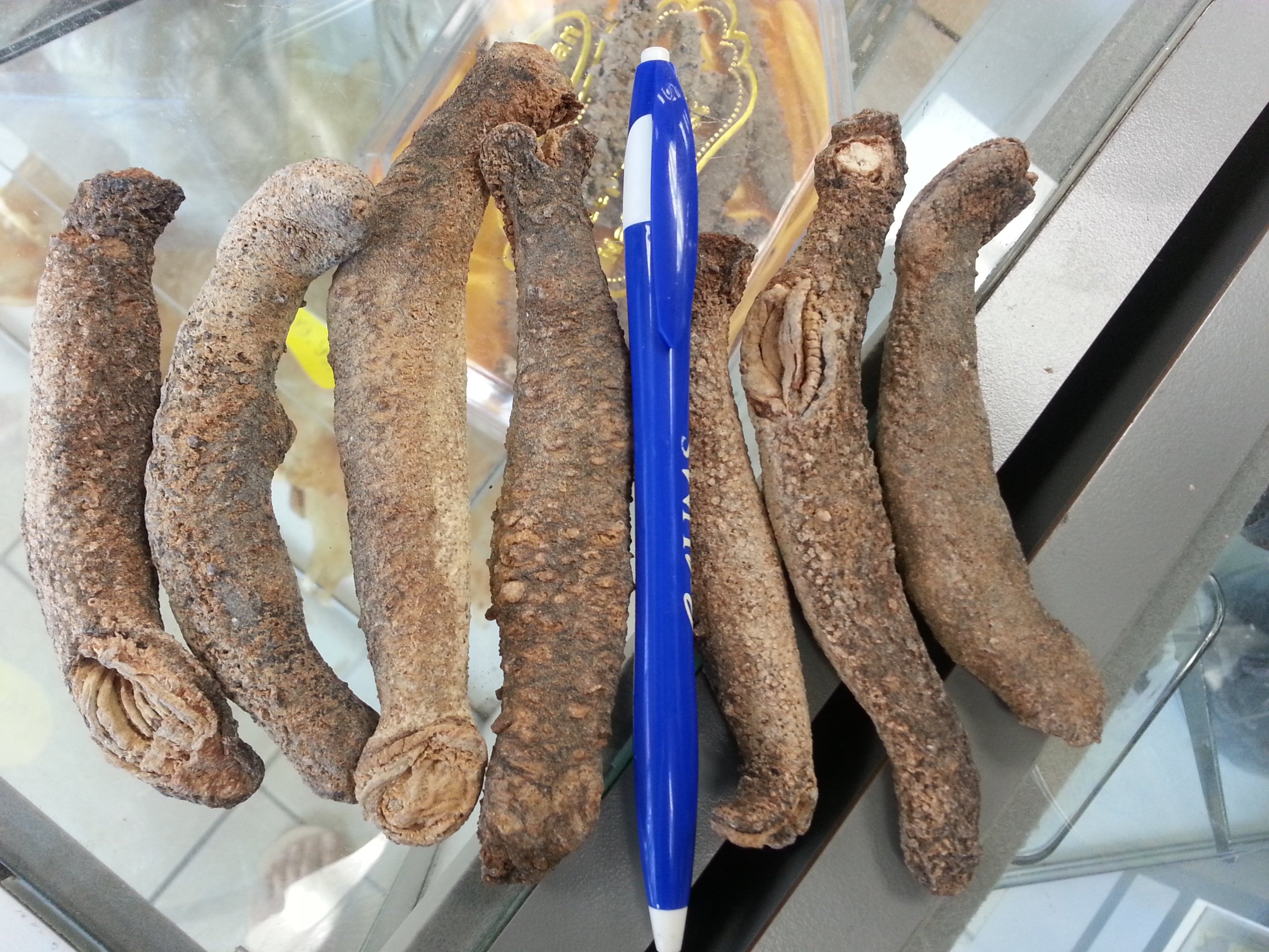 ERLIN 1LB Sun Dried red Sea Cucumber from Alaska medium size Buy