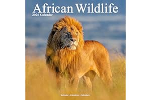 African Wildlife Calendar 2026 Square Wildlife Safari Wall Calendar - 16 Month