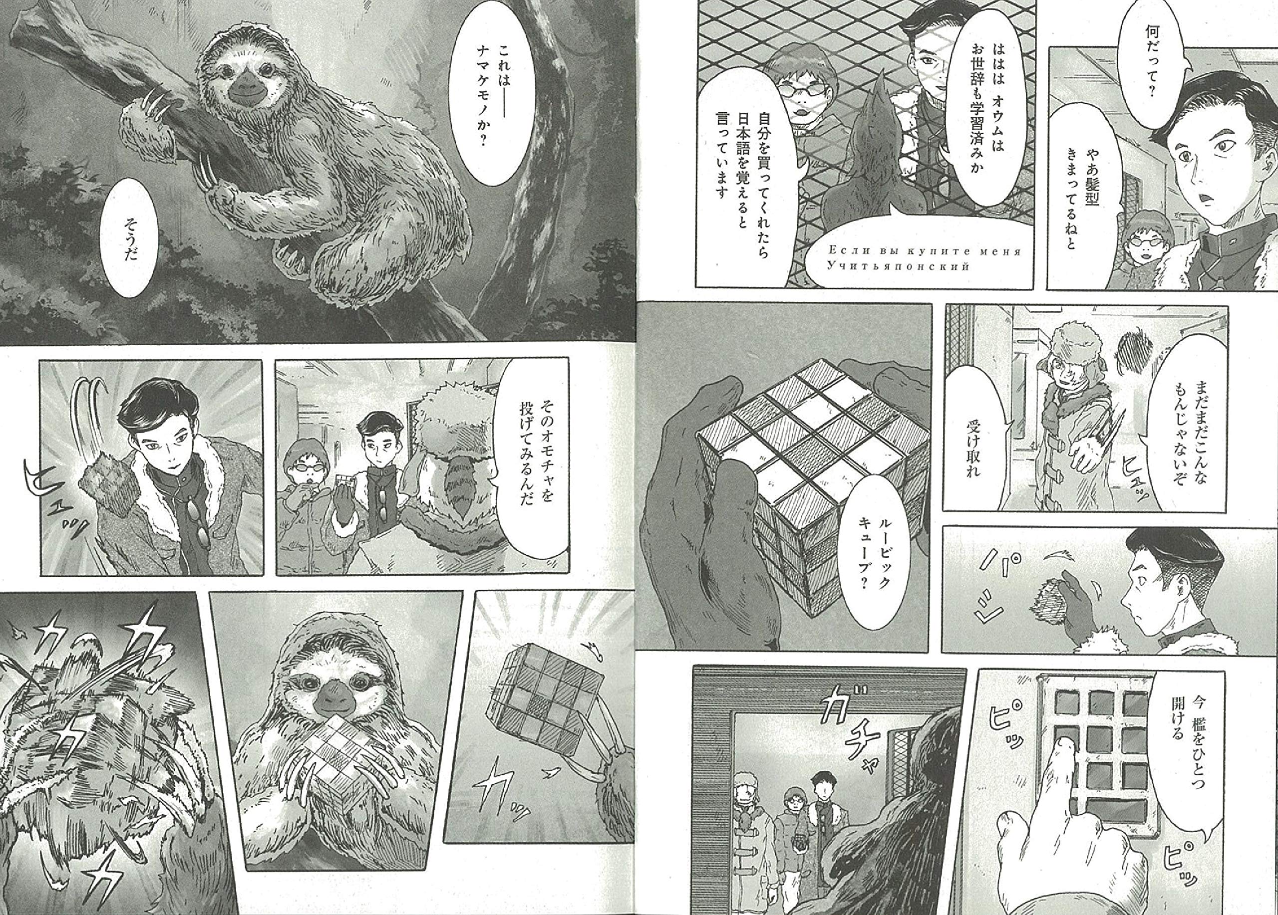 シムグル 1 ソノラマ コミックス Amazon Com Books