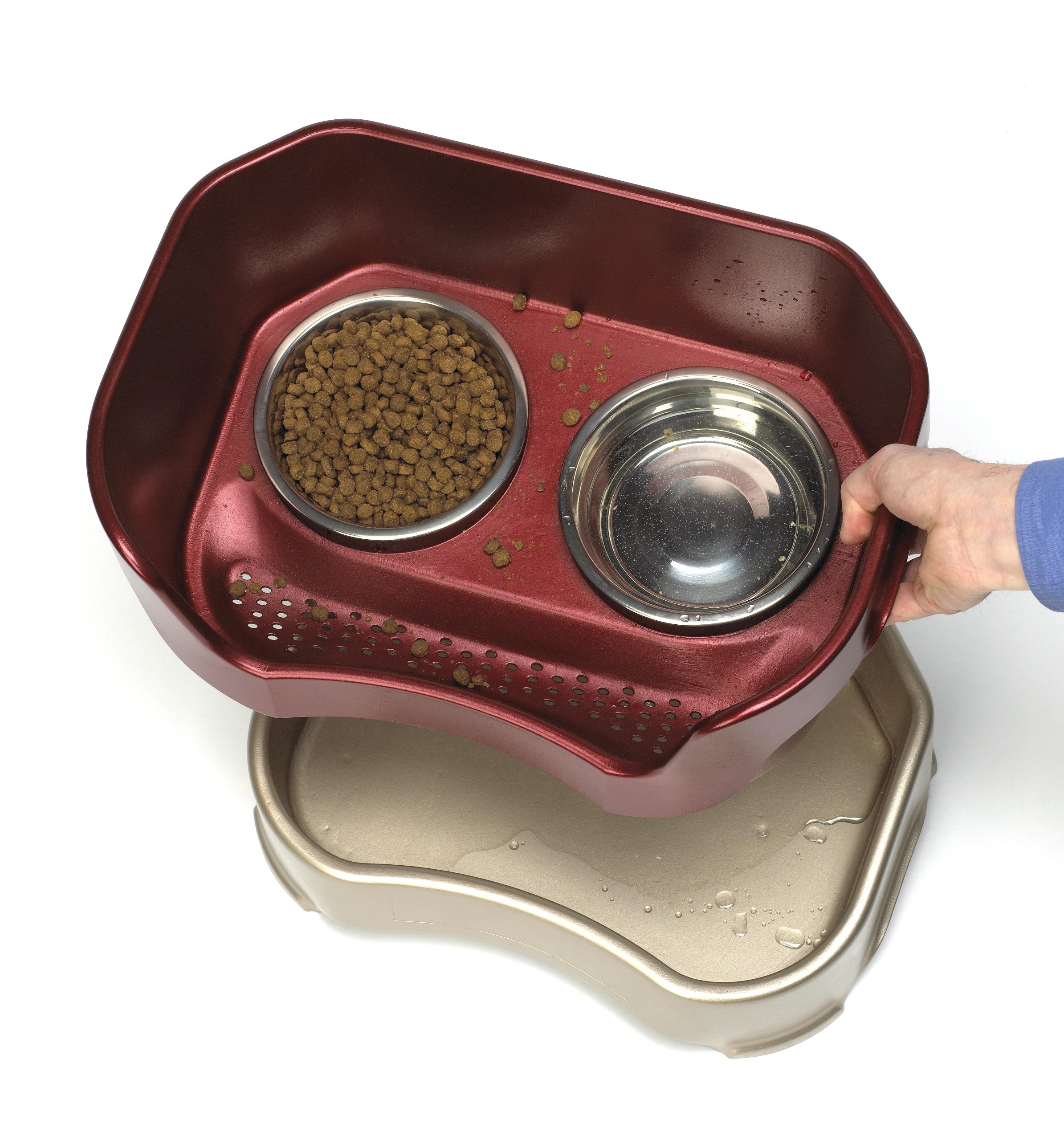 Neater Feeder Deluxe Small Dog (Cranberry) The Mess Proof Elevated Bowls No 850465002107 eBay