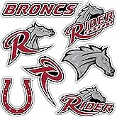 Desert Cactus Rider University Sticker Rider Broncs Vinyl Decal Laptop Water Bottle Car Scrapbook Sheet (Type 2)