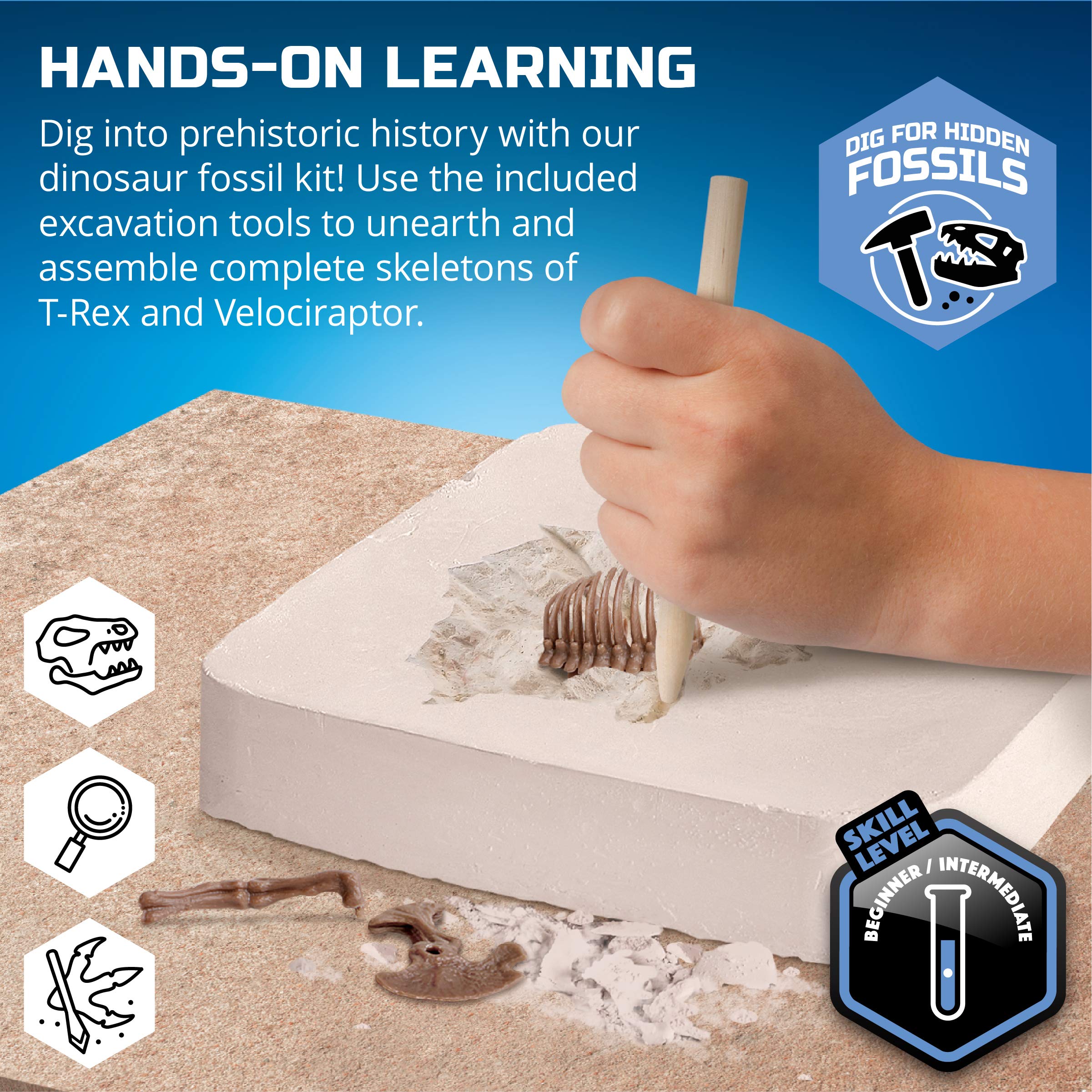 Discovery™ Dinosaur Fossil Dig Kit – Excavate & Assemble T-Rex & Velociraptor Skeletons| 3D Dino Bones Puzzles| Jurassic Paleontology Toy for Kids| STEM Science Activity Set| Girls & Boys Gift Ages 6+