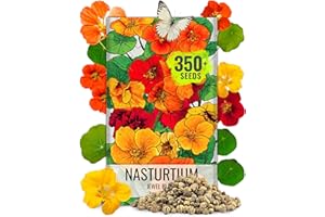 Seed Needs Nasturtium Seeds Jewel Mix Multicolored Edible Flowers | 1.5 Ounce 350+ Seeds Tropaeolum Nanum Annual Flower Seed Mix | Bulk Jewel Nasturtiums for The Garden