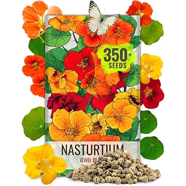 Amazon Best Sellers: Best Flower Plants & Seeds