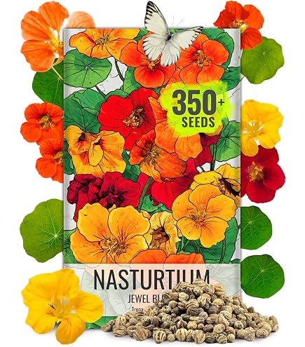 hoya plant fertilizer Plant Superfood for HOYA Plants with B1 Vitamin, Glucose and Essential Minerals