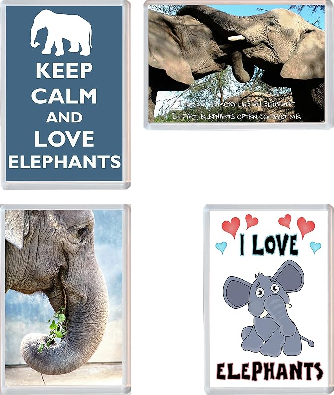 Elephants 4 Pack Jumbo Fridge Gift/Souvenir/Present