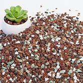 Biotolot Bonsai Soil, 4QT Organic Potting Soil Mix Ready to Use | Premixed Bonsai Soil with Perlite, Bark, Volcanic Rock and Green Zeolite, Enhanced Aeration &amp; Drainage for Potted Plants