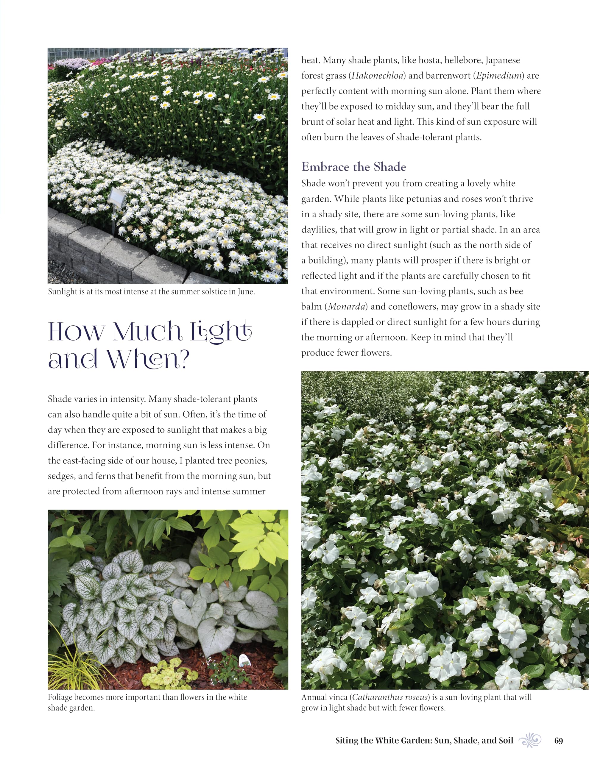 White Gardens: Creating Magnificent Moonlit Spaces: Guide to White and Luminous Plants (Creative Homeowner) How to Create a Night Garden with Plants that Reflect the Moon or Bloom in the Evening