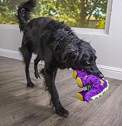 goDog Dinos Bruto Squeaky Plush Dog Toy, Chew Guard